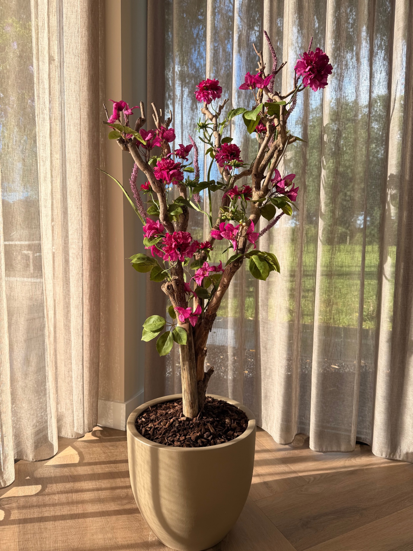 Droomboom van 1,50 meter met bougainvillebloesem in fuchsia roze, op een natuurlijke tak in een zandkleurige pot
